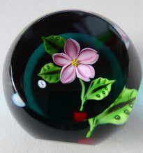 Load image into Gallery viewer, William Manson Cherry Blossom 1980s Vintage Paperweight
