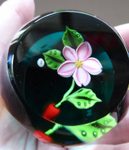 Load image into Gallery viewer, William Manson Cherry Blossom 1980s Vintage Paperweight
