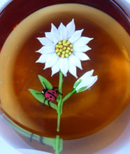 Load image into Gallery viewer, SCOTTISH Limited Edition 1990 Caithness Paperweight DAISY &amp; LADYBIRD by William Manson. Signed to the base
