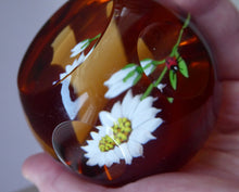 Load image into Gallery viewer, SCOTTISH Limited Edition 1990 Caithness Paperweight DAISY &amp; LADYBIRD by William Manson. Signed to the base
