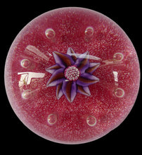 Load image into Gallery viewer, Exquisite Paul Ysart HARLAND PAPERWEIGHT; with Pink Ground,  Glitter Flowerpiece and Controlled Air Bubbles. Signed with H Cane
