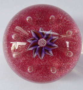 Exquisite Paul Ysart HARLAND PAPERWEIGHT; with Pink Ground,  Glitter Flowerpiece and Controlled Air Bubbles. Signed with H Cane
