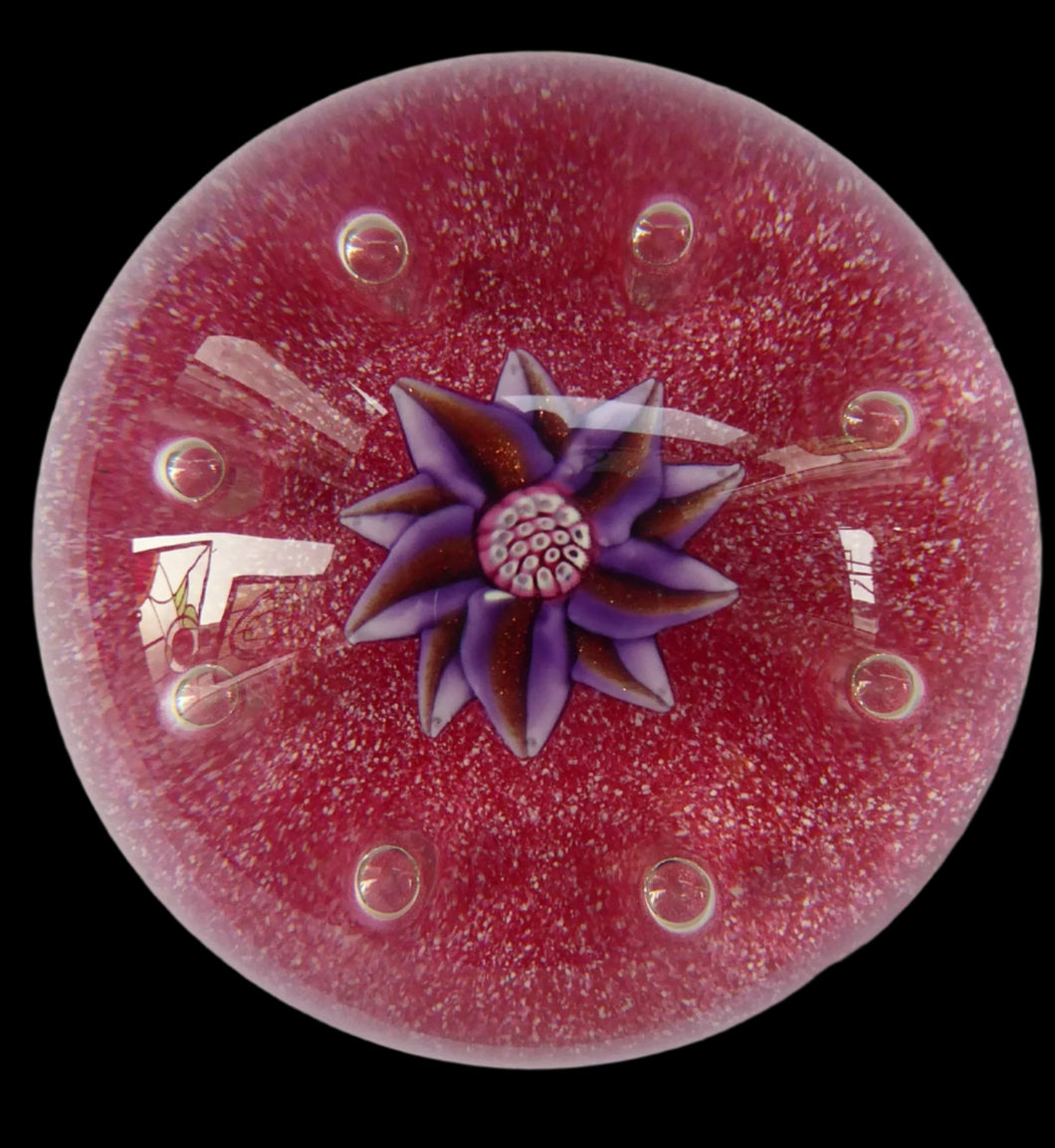 Exquisite Paul Ysart HARLAND PAPERWEIGHT; with Pink Ground,  Glitter Flowerpiece and Controlled Air Bubbles. Signed with H Cane