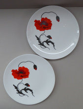 Load image into Gallery viewer, SUSIE COOPER for WEDGWOOD. 1971 Cornpoppy Design. Stylish Floral Bone China Dessert Plates - 9 inches
