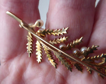 Load image into Gallery viewer, 9ct Gold 1950s Mid Century Vintage Fern Brooch Set with 12 Tiny Natural Pearls
