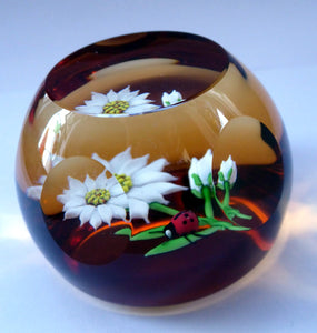 SCOTTISH Limited Edition 1990 Caithness Paperweight DAISY & LADYBIRD by William Manson. Signed to the base