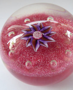 Exquisite Paul Ysart HARLAND PAPERWEIGHT; with Pink Ground,  Glitter Flowerpiece and Controlled Air Bubbles. Signed with H Cane