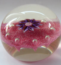 Load image into Gallery viewer, Exquisite Paul Ysart HARLAND PAPERWEIGHT; with Pink Ground,  Glitter Flowerpiece and Controlled Air Bubbles. Signed with H Cane
