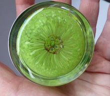 Load image into Gallery viewer, Vintage Scottish PERTHSHIRE Paperweight. Pea Green Ground, 11 Spokes &amp; Millefiori Canes. P Cane in Center

