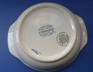 Large SCOTTISH Vintage WILD BERRIES Design Serving Bowl with Lug Handles by Highland Stoneware. Hand Decorated (A)