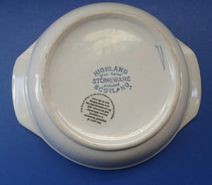 Large SCOTTISH Vintage WILD BERRIES Design Serving Bowl with Lug Handles by Highland Stoneware. Hand Decorated (C)