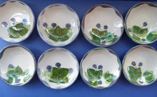 Load image into Gallery viewer, SCOTTISH Vintage WILD BERRIES Design Shallow Bowl by Highland Stoneware, Scotland. Hand-Decorated
