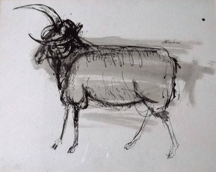 Scottish Art for Sale Robin Philipson Pen and Ink Drawing of a Ram