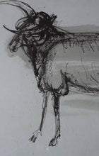 Load image into Gallery viewer, Scottish Art for Sale Robin Philipson Pen and Ink Drawing of a Ram
