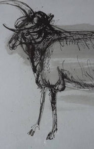 Scottish Art for Sale Robin Philipson Pen and Ink Drawing of a Ram