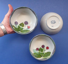 Load image into Gallery viewer, Vintage SCOTTISH WILD BERRIES Design Cereal Bowl by Highland Stoneware, Scotland. Hand Decorated

