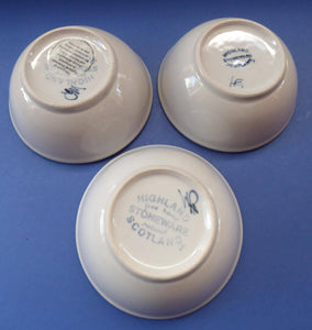 Vintage SCOTTISH WILD BERRIES Design Cereal Bowl by Highland Stoneware, Scotland. Hand Decorated