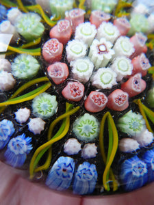 Vintage Scottish Perthshire Paperweight 10 Spoles Millefiori