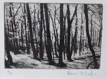 Load image into Gallery viewer, Norman McBeath Artist&#39;s Proof Photogravure. Trees in a Wood Signed

