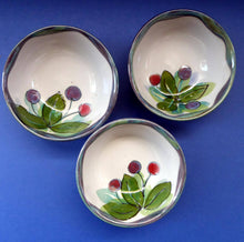 Load image into Gallery viewer, Vintage SCOTTISH WILD BERRIES Design Cereal Bowl by Highland Stoneware, Scotland. Hand Decorated
