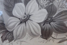 Load image into Gallery viewer, ORIGINAL GEORGIAN Watercolour.  RARE Early 19th Century Grisaille Floral Designs for Plate Border Decorations: E
