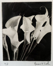Load image into Gallery viewer, Norman McBeath Signed Photogravure Artists Proof Lilies
