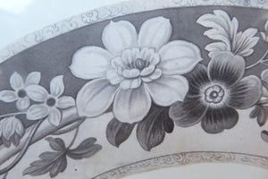 ORIGINAL GEORGIAN Watercolour.  RARE Early 19th Century Grisaille Floral Designs for Plate Border Decorations: H