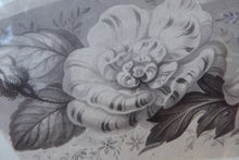 Load image into Gallery viewer, ORIGINAL GEORGIAN Watercolour.  RARE Early 19th Century Grisaille Floral Designs for Plate Border Decorations: E
