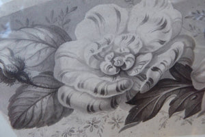 ORIGINAL GEORGIAN Watercolour.  RARE Early 19th Century Grisaille Floral Designs for Plate Border Decorations: E