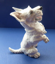 Load image into Gallery viewer, 1950s Rosenthal West Highland Terrier Figurine  by HEIDENREICH

