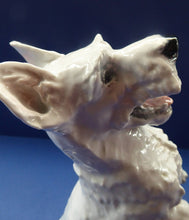 Load image into Gallery viewer, 1950s Rosenthal West Highland Terrier Figurine  by HEIDENREICH
