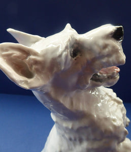 1950s Rosenthal West Highland Terrier Figurine  by HEIDENREICH