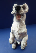 Load image into Gallery viewer, 1950s Rosenthal West Highland Terrier Figurine  by HEIDENREICH
