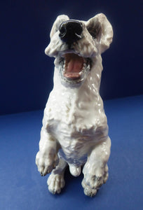 1950s Rosenthal West Highland Terrier Figurine  by HEIDENREICH