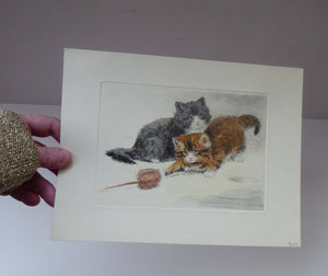 HARRY DIXON (1861 - 1942). Cute Kittens at Play. Original vintage hand-coloured etching on paper