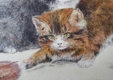 Load image into Gallery viewer, HARRY DIXON (1861 - 1942). Cute Kittens at Play. Original vintage hand-coloured etching on paper
