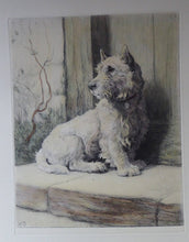 Load image into Gallery viewer, Herbert Thomas Dicksee Etching of West Highland Terrier Westie 1920s
