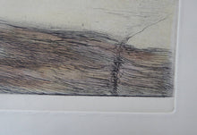 Load image into Gallery viewer, Herbert Thomas Dicksee Etching of West Highland Terrier Westie 1920s
