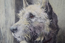 Load image into Gallery viewer, Herbert Thomas Dicksee Etching of West Highland Terrier Westie 1920s
