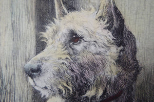 Herbert Thomas Dicksee Etching of West Highland Terrier Westie 1920s