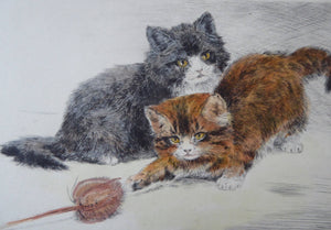 HARRY DIXON (1861 - 1942). Cute Kittens at Play. Original vintage hand-coloured etching on paper