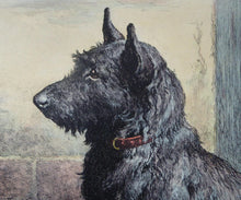 Load image into Gallery viewer, Herbert Thomas Dicksee Original Print Forgotten Scottish Terrier
