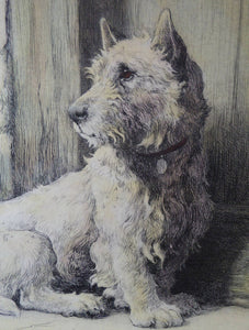 Herbert Thomas Dicksee Etching of West Highland Terrier Westie 1920s