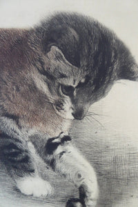 Pencil Signed Etching by Kurt Meyer-Eberhardt Kitten Playing with a Ball