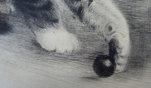 Load image into Gallery viewer, Pencil Signed Etching by Kurt Meyer-Eberhardt Kitten Playing with a Ball
