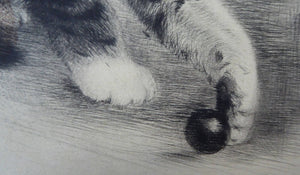 Pencil Signed Etching by Kurt Meyer-Eberhardt Kitten Playing with a Ball