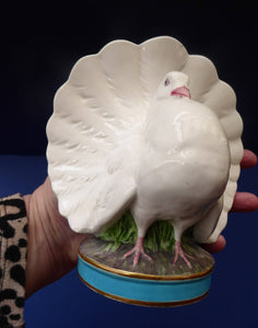 ANTIQUE 1880s Victorian Majolica MINTON Fantail Dove Flower or Posy Vase