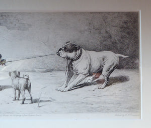 Satirical Print Engraving by Mansell after Harding Cox. Tug of War