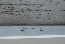 Load image into Gallery viewer, ES Lumsden Low Tide. The Thames Etching Drypoint Signed 1921
