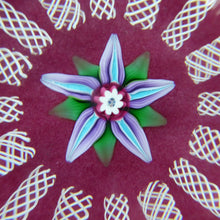 Load image into Gallery viewer, Paul Ysart Harland Paperweight. H Cane. Central Flower
